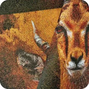 Animal Pattern