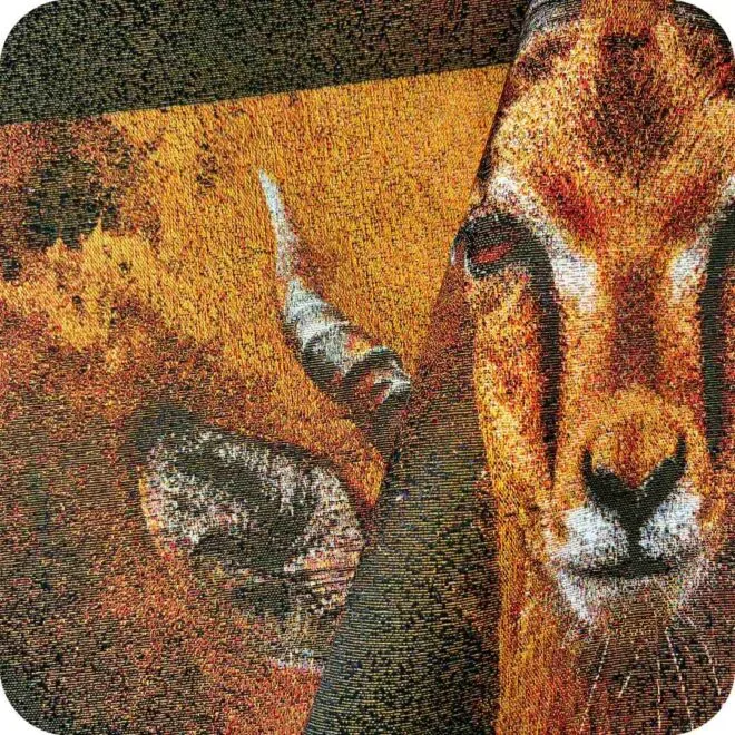 Animal Pattern