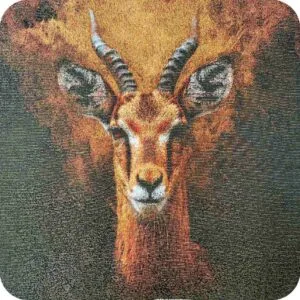 Animal Pattern