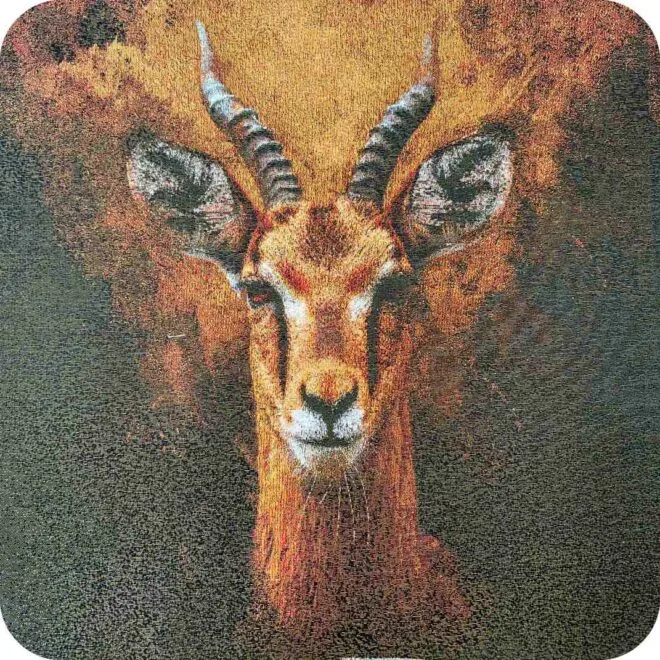 Animal Pattern
